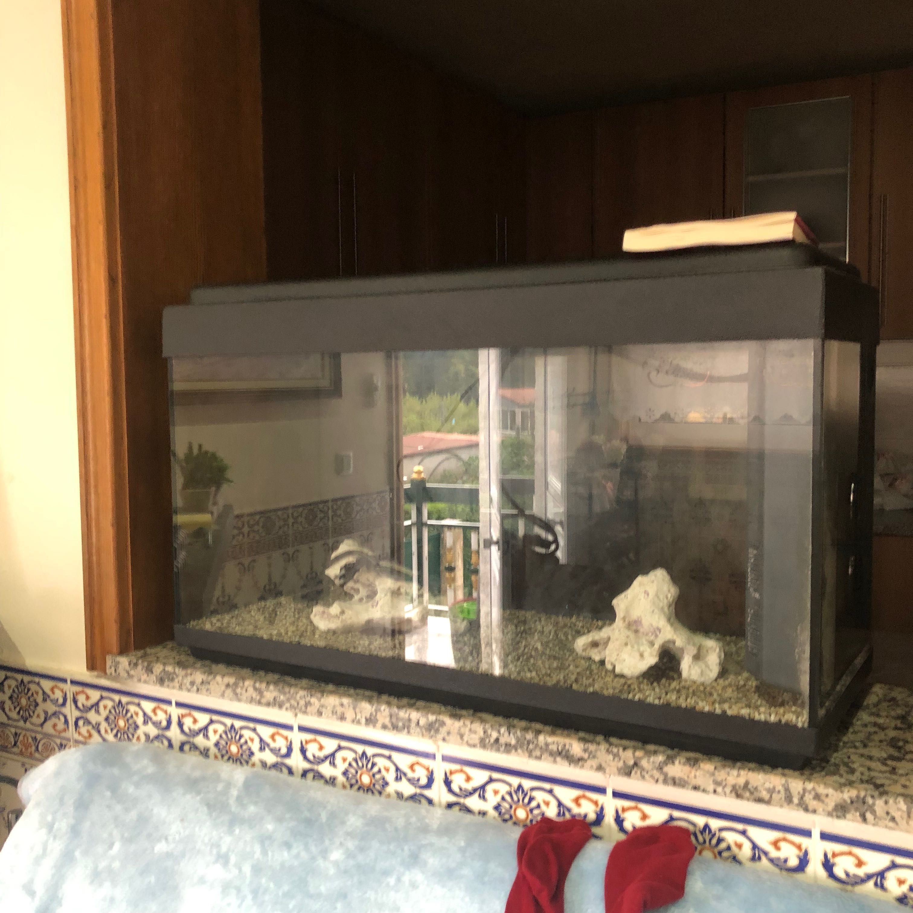 Aquário para peixe