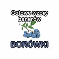 BORÓWKI borówka sprzedam gotowe wzory banerów 2x1