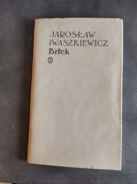Książka Iwaszkiewicz Biłek