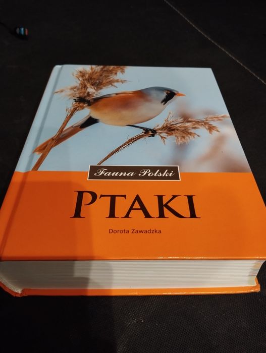 AKTUALNE Ptaki Fauna Polski Dorota Zawadzka