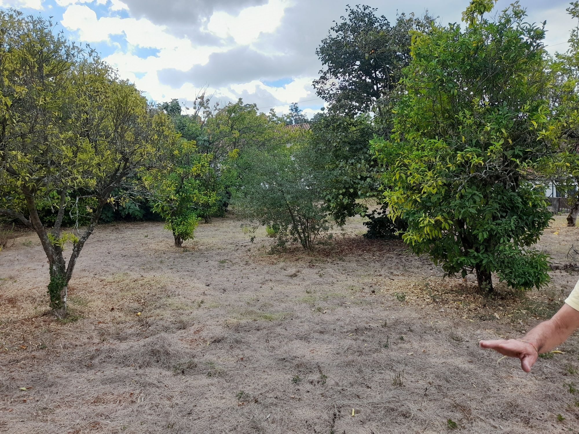Terreno com 1500m2