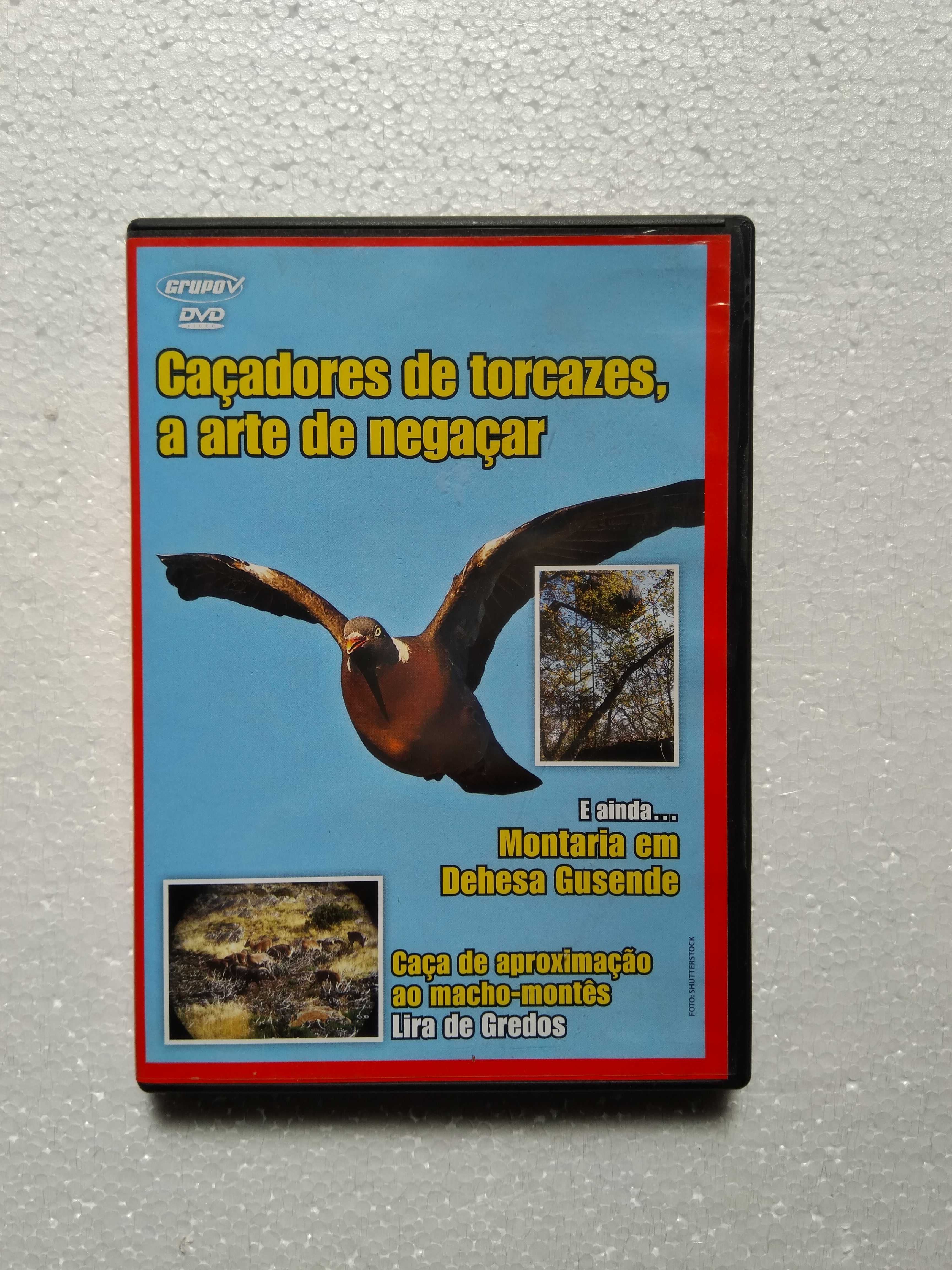 Vários DVDs Caça e Pesca