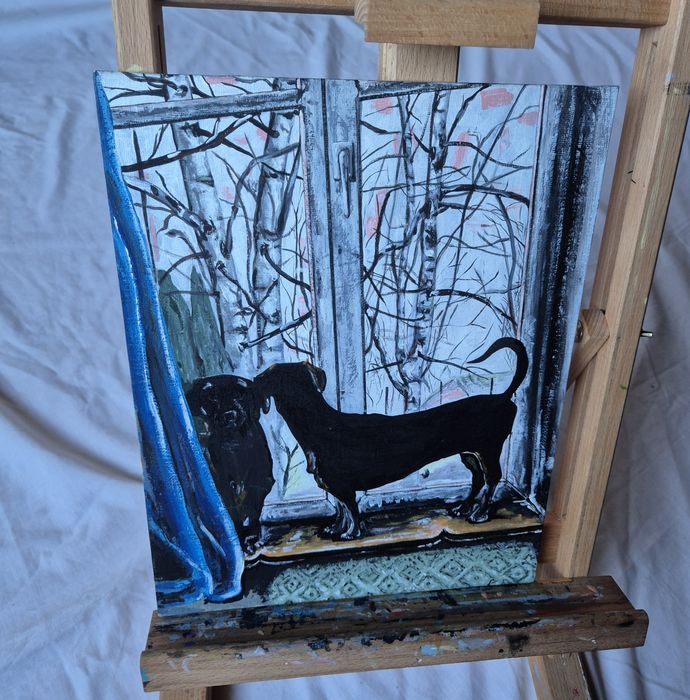 Jamniki jamnik w oknie obraz na płótnie od artysty