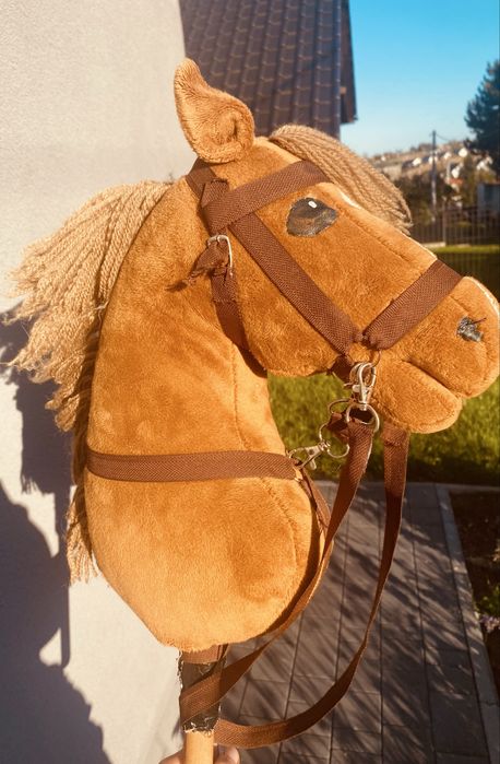 Piękny hobby horse