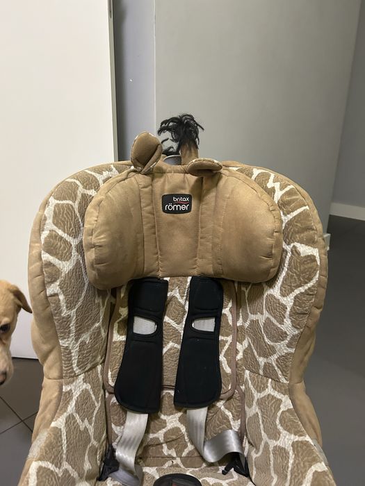 Fotelik dzieciecy Romer