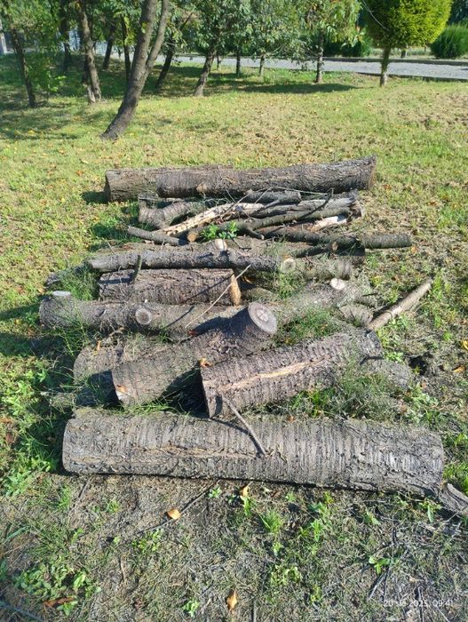 Drewno opałowe pocięte