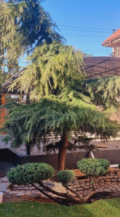 Дом на 5 сотках! Нео-классика! 411 Батарея! 1A37