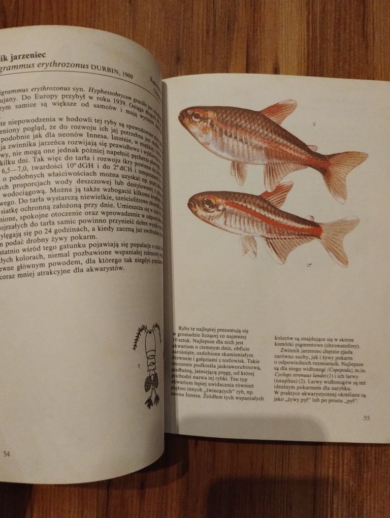 Książka Ryby akwariowe