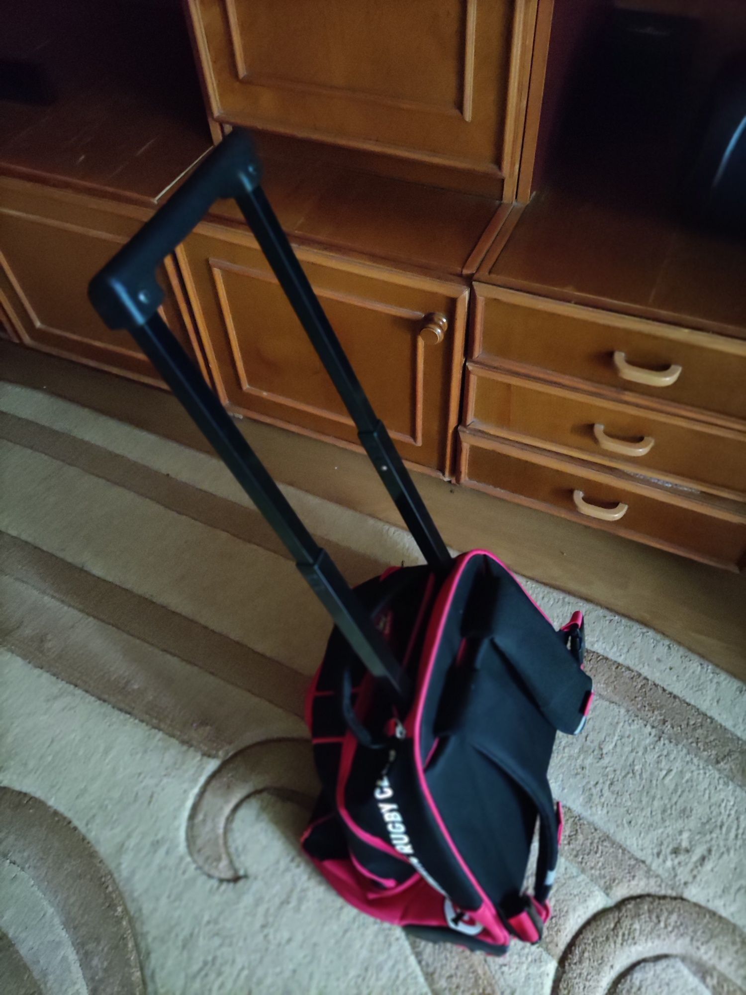 Сумка,рюкзак на колесах с ручкой телескоп