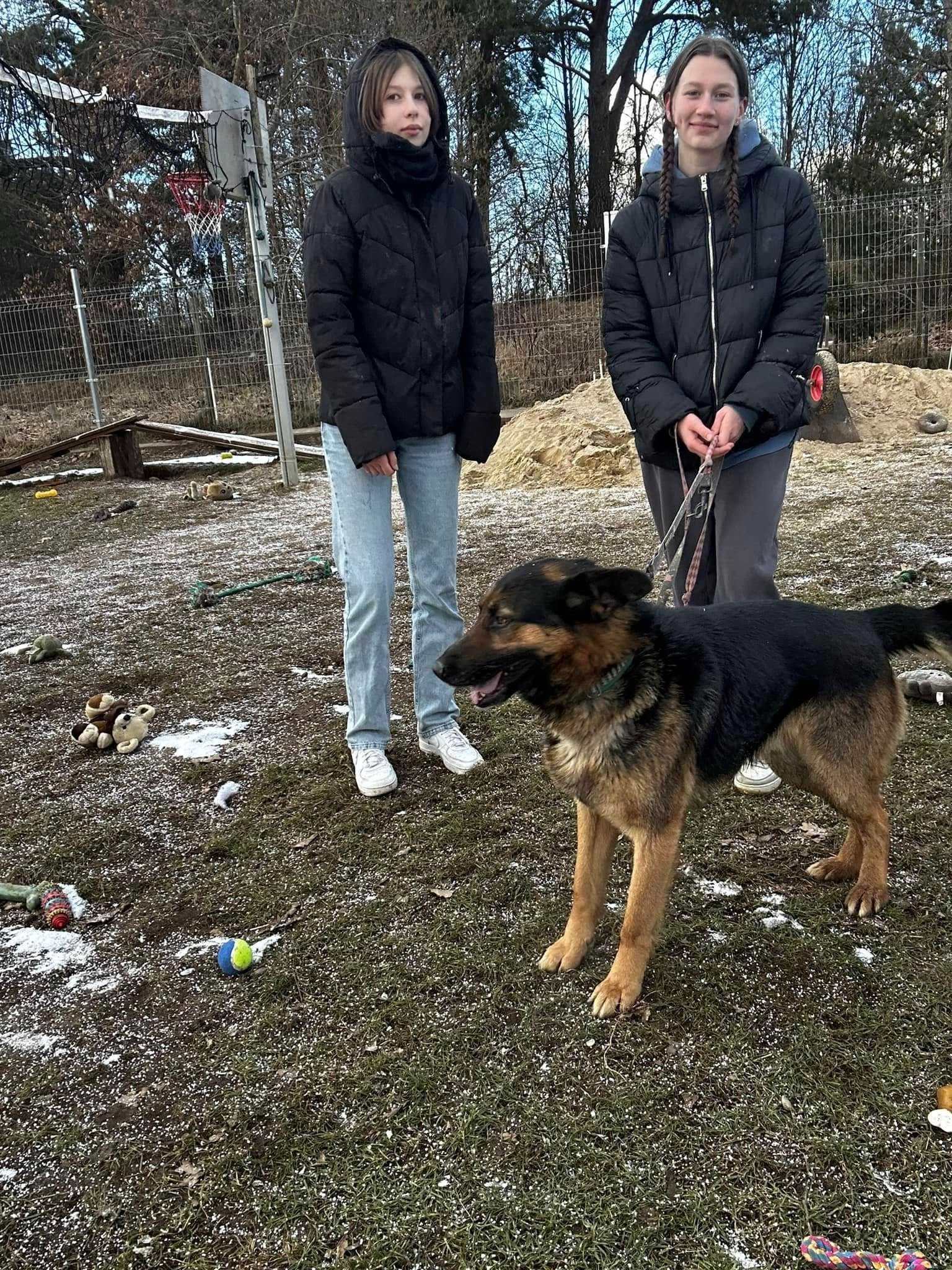 Atos wierny stroz szuka domu