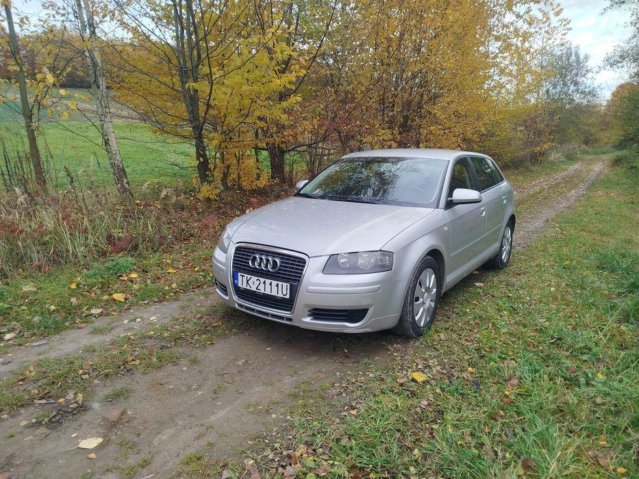 Audi a3 8p 1.6 MPI