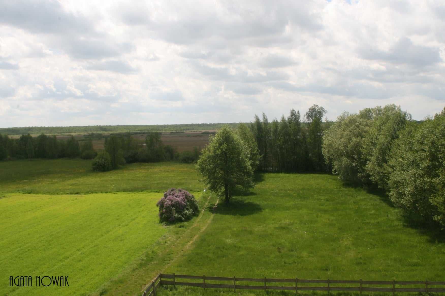 Lubilas domek do wynajęcia