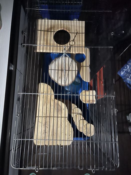 Клетки для грызунов (морские свинки, шиншиллы, кролики)