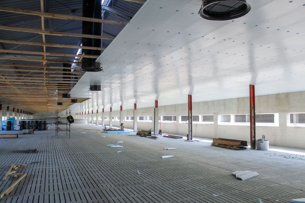 Płyty Izolacyjne Ocieplenie Obory Kurnika Podsufitka STYRODUR XPS AGRO