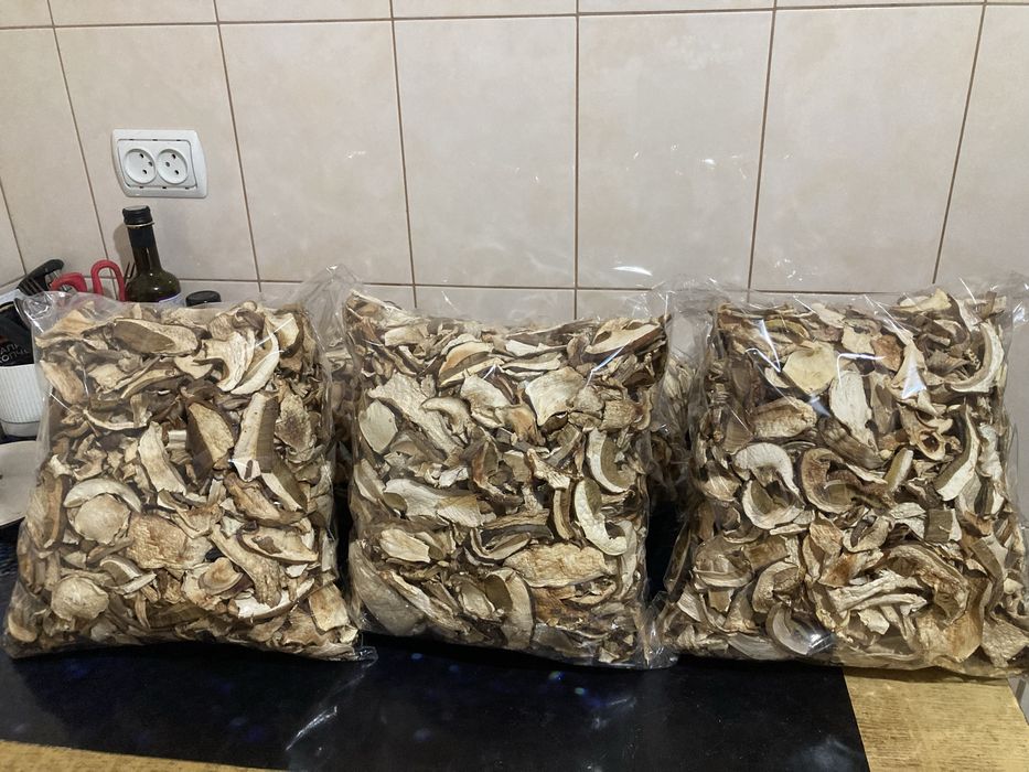 Карпацькі грибочки цьогорічні