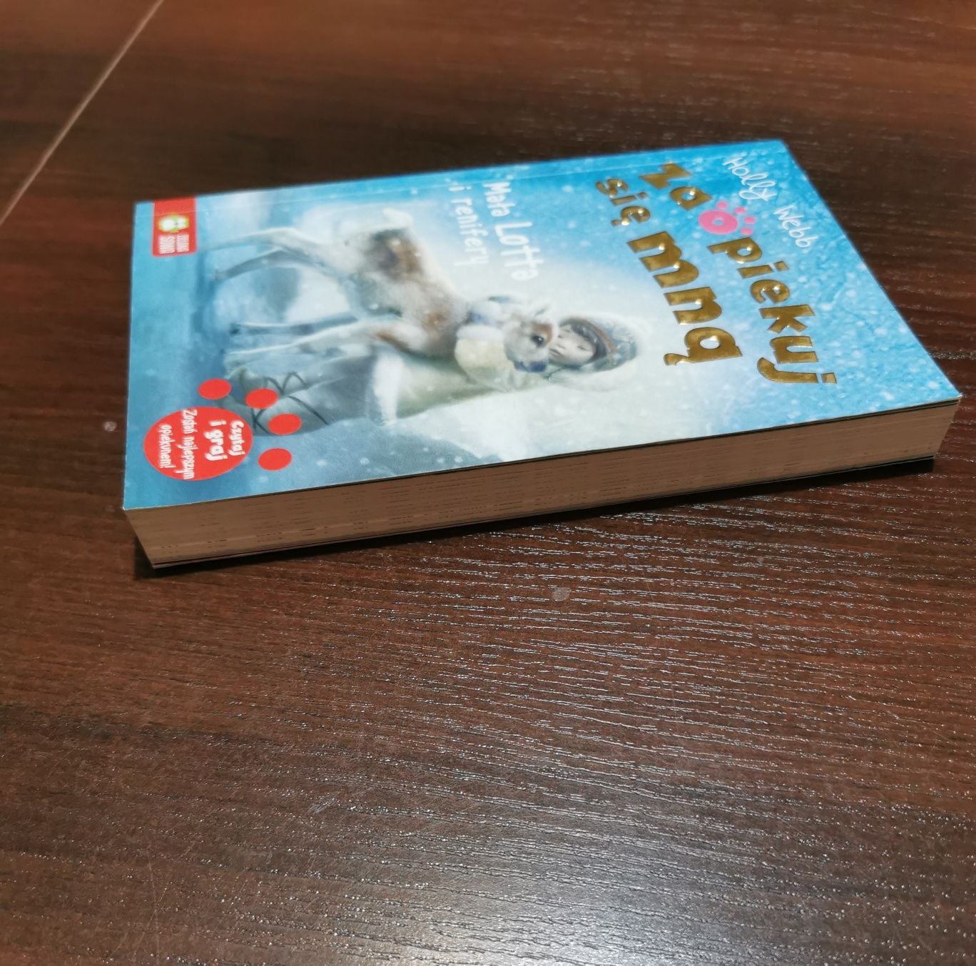 Mała Lotta i renifery Holly Webb seria zaopiekuj się mną książka