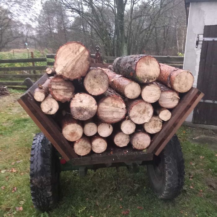 Drewno opałowe sosna.