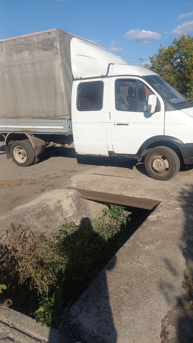Продаётся газель- дуэт