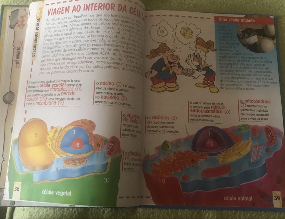 Coleção de livros Disney Enciclopédia Temática Infantil