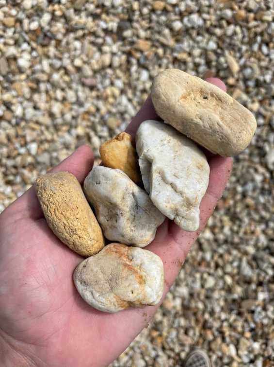Żwir Miodowy Kamień Ogrodowy Otoczak Rabata Opaska 8-16, 16-32 mm
