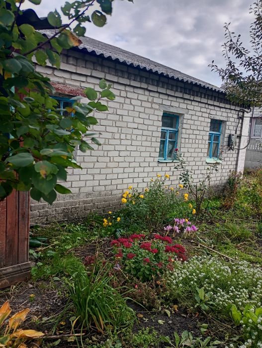 Будинок з присадибною ділянкою