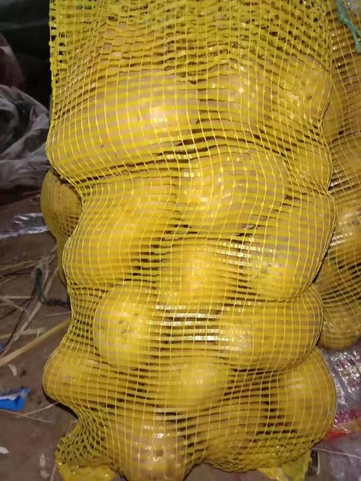 Sacos de batata branca e vermelha 20kg por 10€!!!