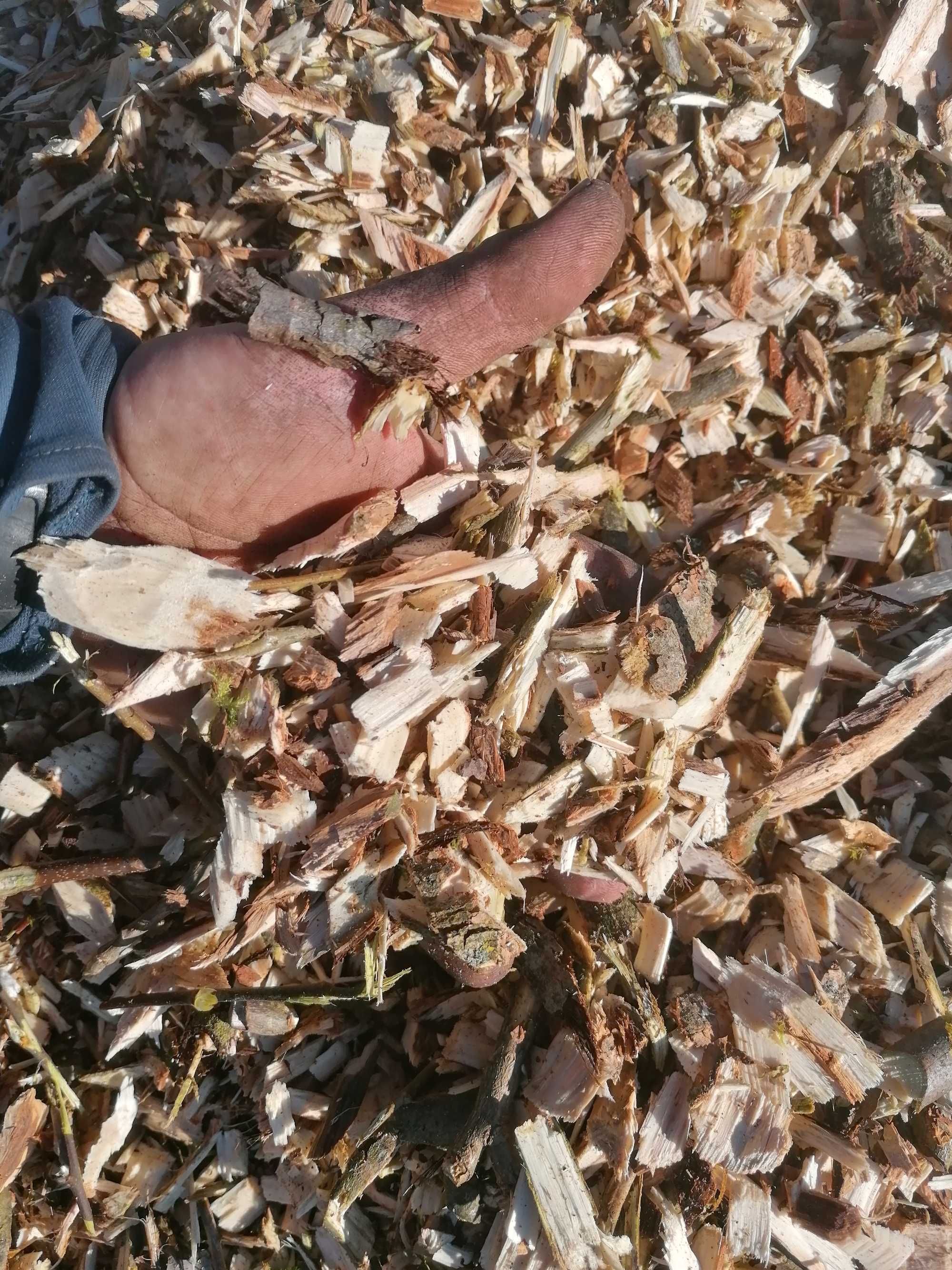 Rębak/rozdrabniacz zrebkowanie gałęzi