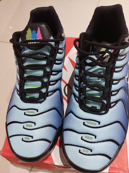 Nike Air max pro