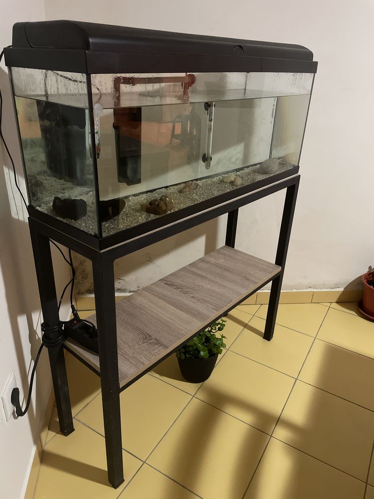 Aquario completo 120 litros + movel