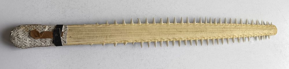 Нос рыбы пилы (Рострум)