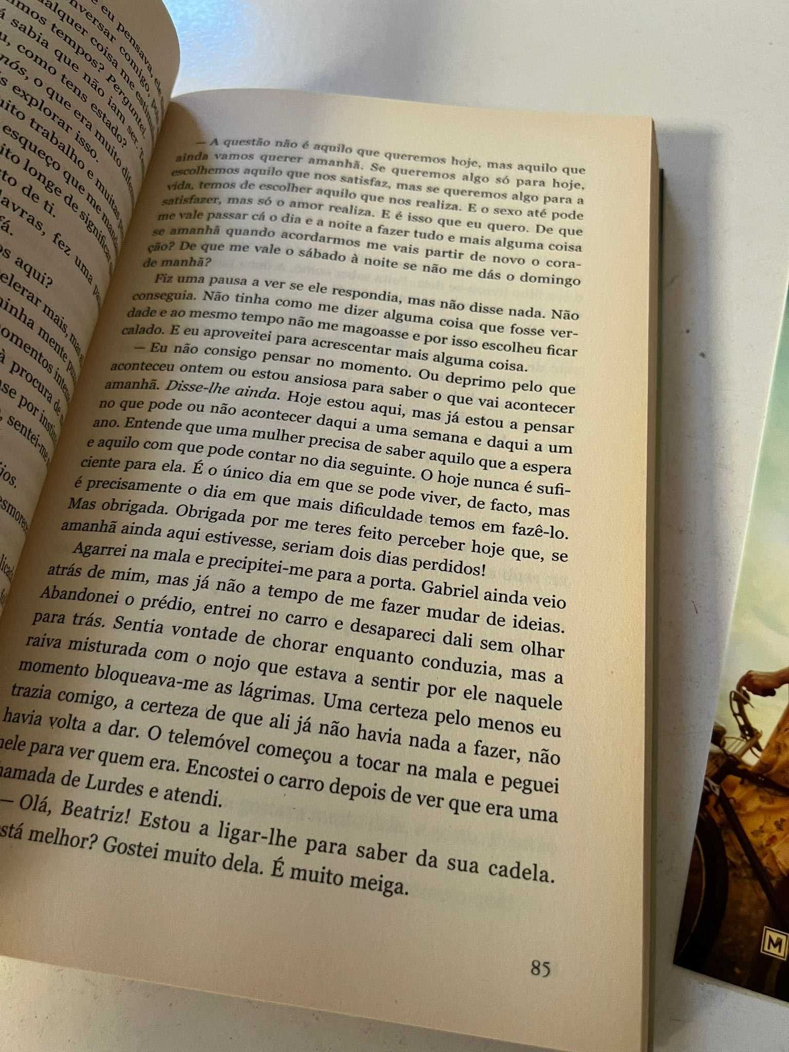 Livro - Foi Sem Querer que Te Quis (ctt editorial grátis)