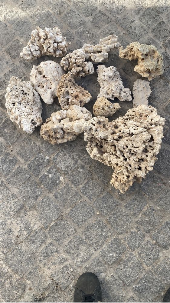 Pedra de coral para aquarios