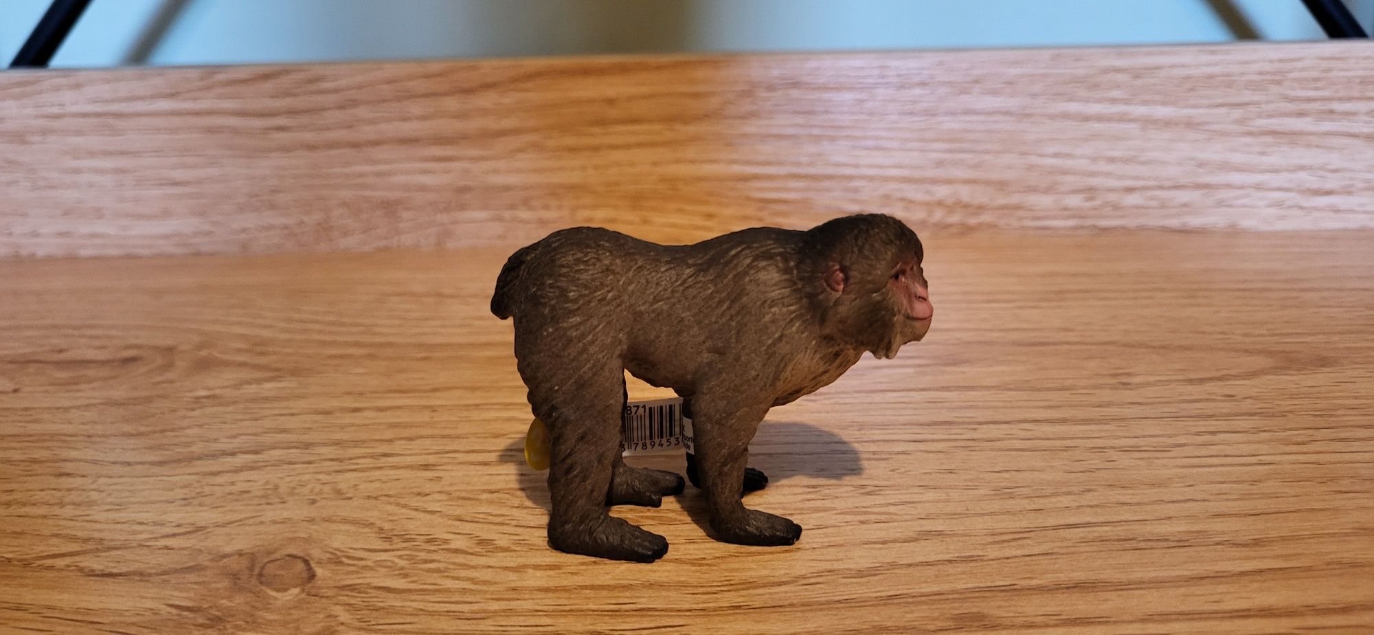 Schleich makak japoński figurka model z 2023 r.