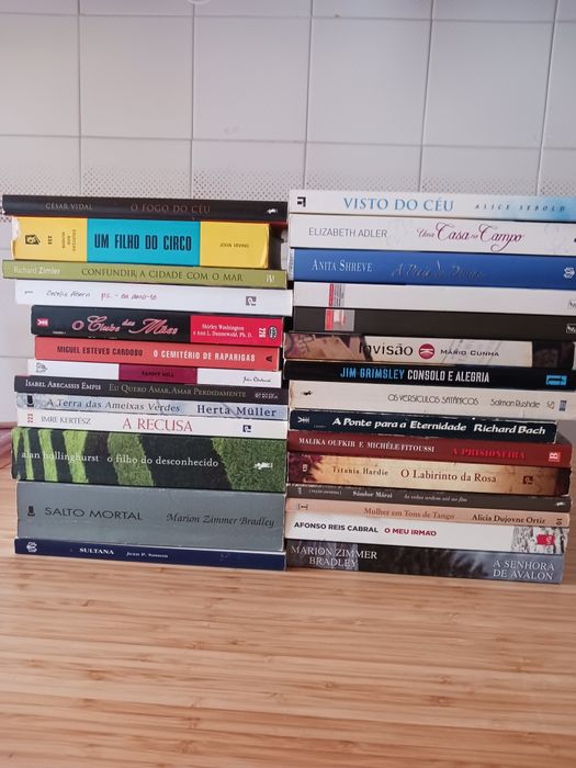 Lote de 24 livros temas e escritores diversos