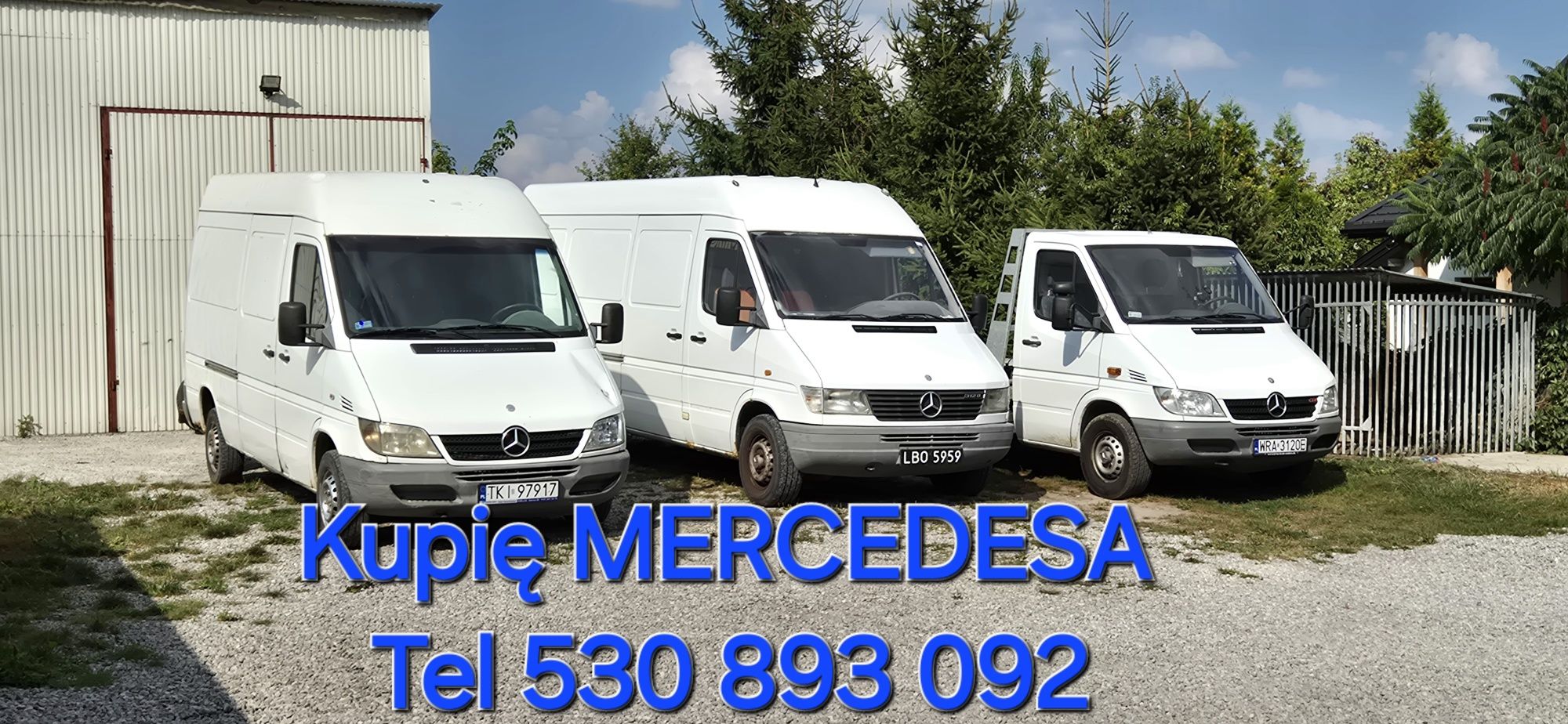 Skup Aut MERCEDES !! Stalowa Wola , Tarnobrzeg i Okolice