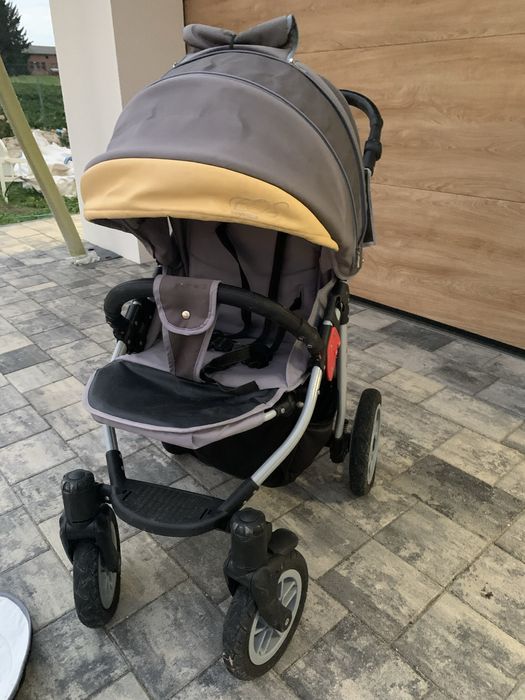 Spacerowka Camarelo Eos