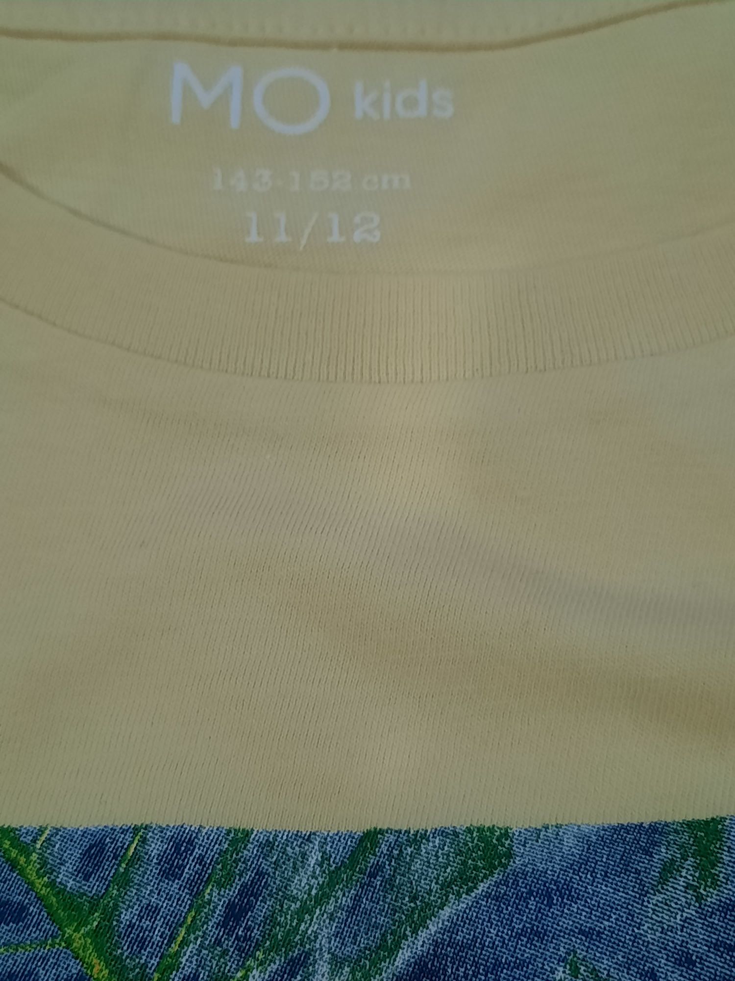 T-shirts de menino