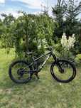 Trek remedy 8 2024