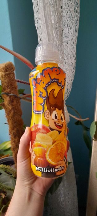 Wojanek butelka po soku