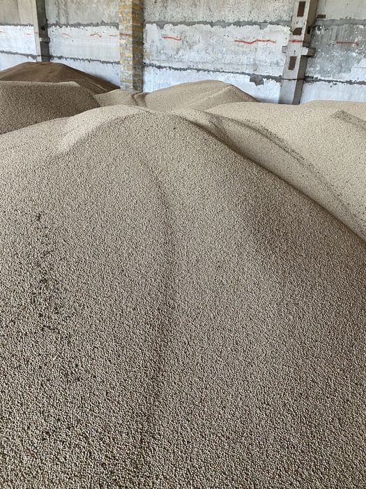 Продам горох озимий Балтрап