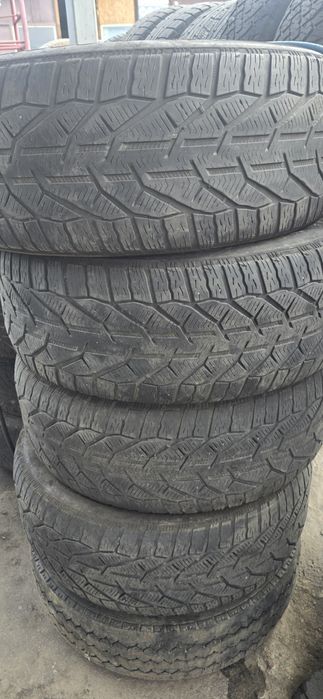 Tiger suv winter 265/60 R18 114H