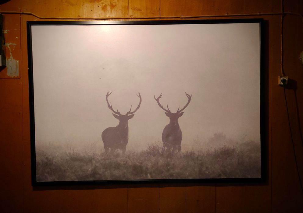 Obraz Ikea Bjorksta duzy 140x200 jelenie we mgle , jelen