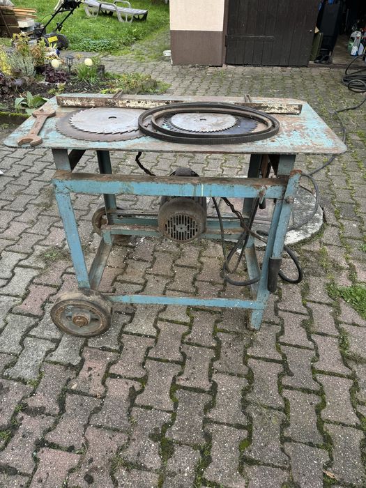 Krajzega piła tarczowa