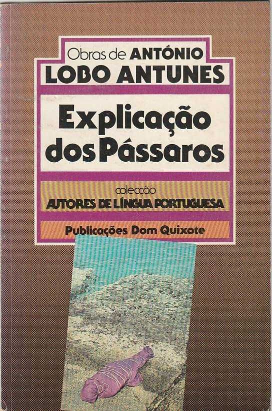 Explicação dos pássaros (8ª ed.)-António Lobo Antunes-Dom Quixote