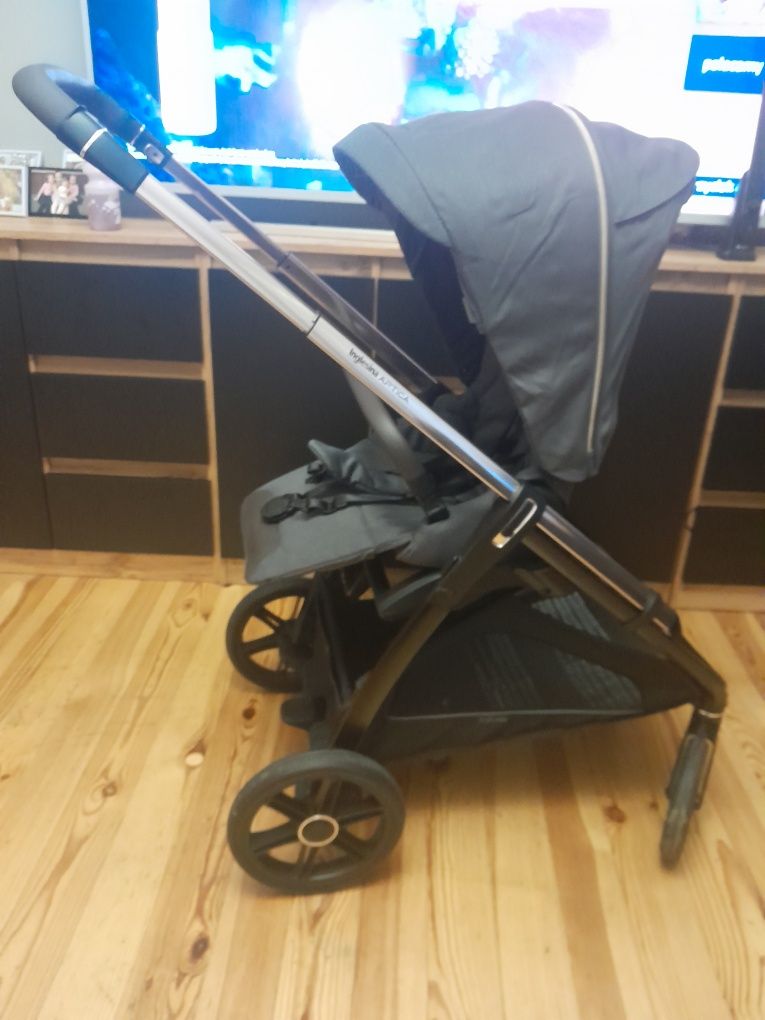 Inglesina aptica 2024