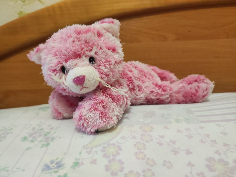 Котик з корівкою