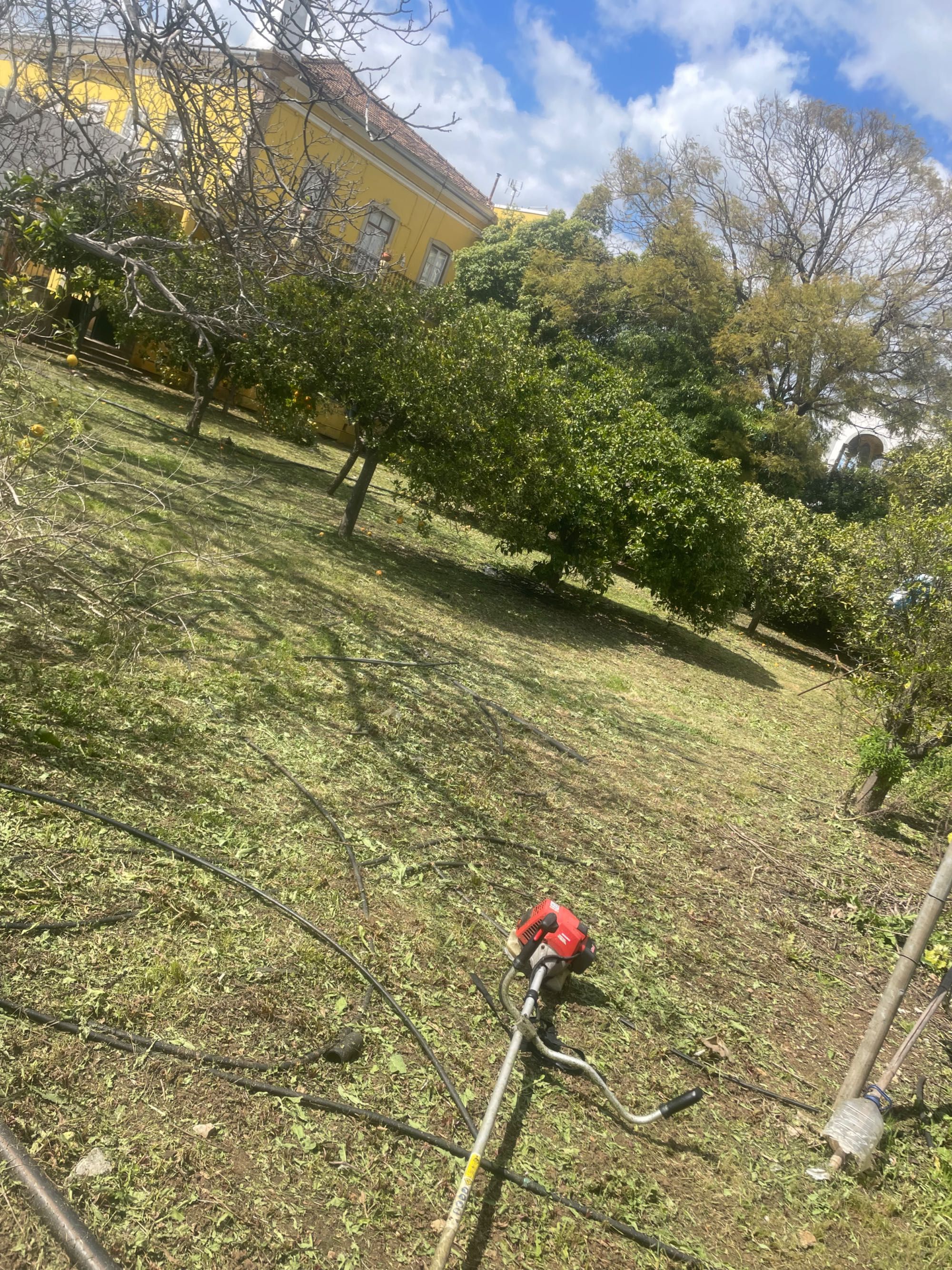 Limpeza de  terrenos