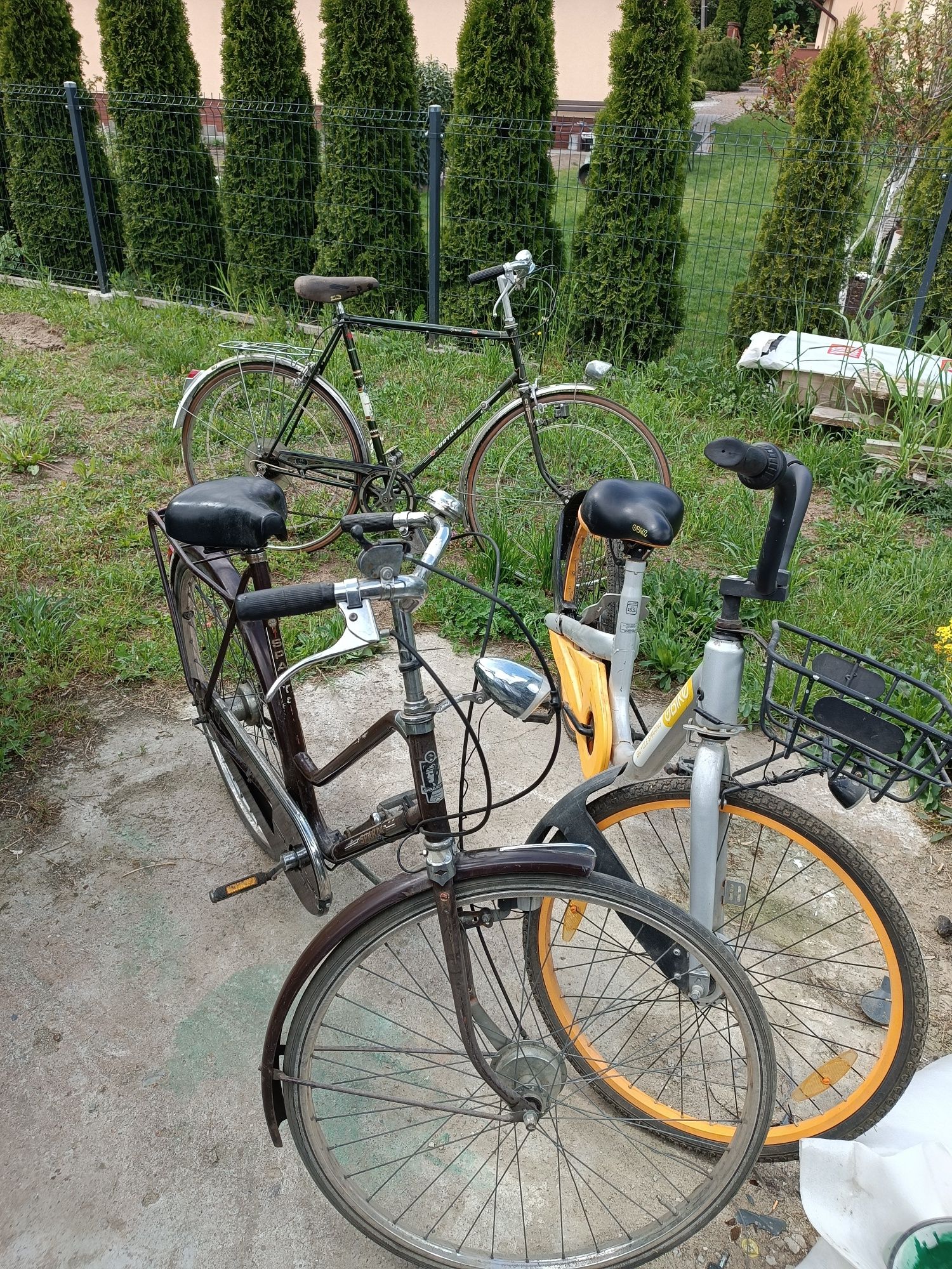 Pakiet 3 rowerów