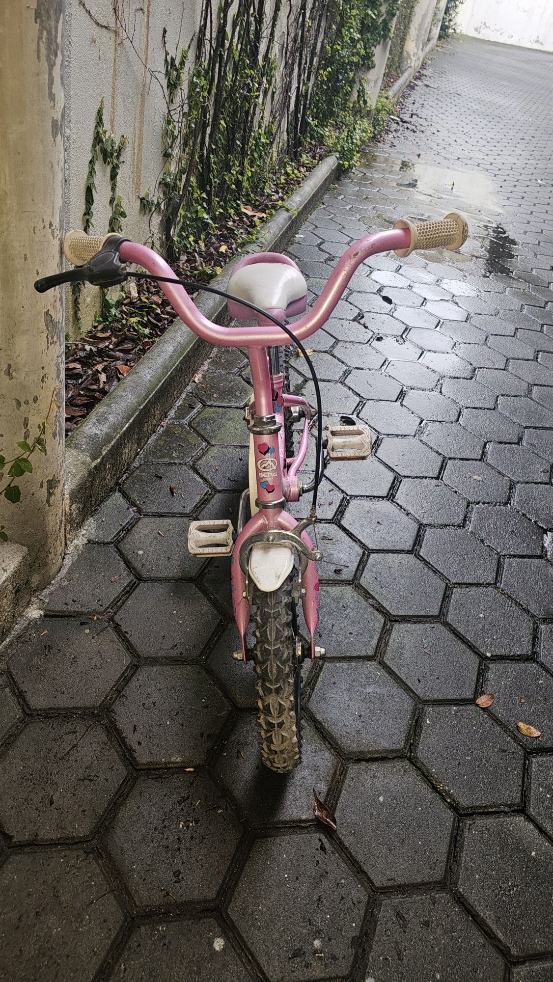 Vendo 1 bicicleta + 1 oferta de criança  berg