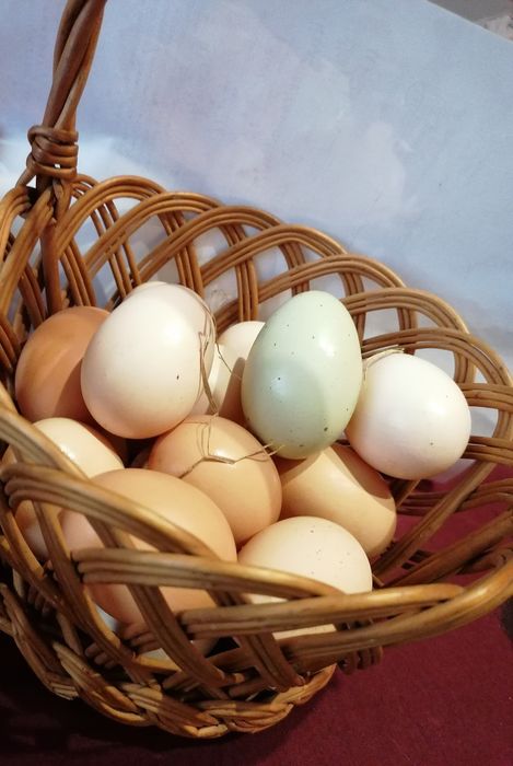 Jaja wiejskie od kur z wolnego wybiegu